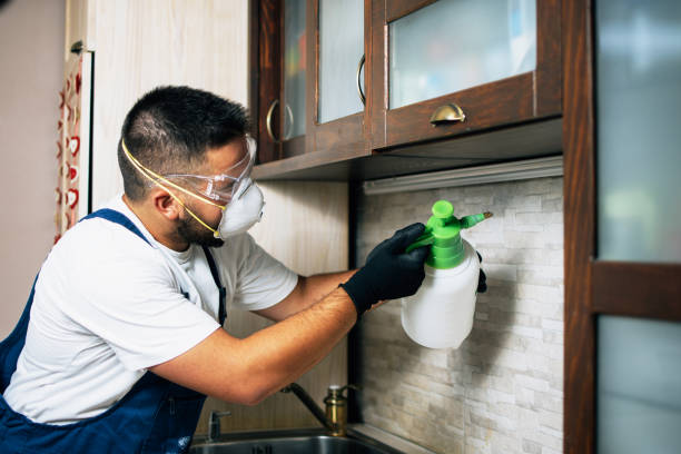 Pest Control for Restaurants in Cashmere, WA