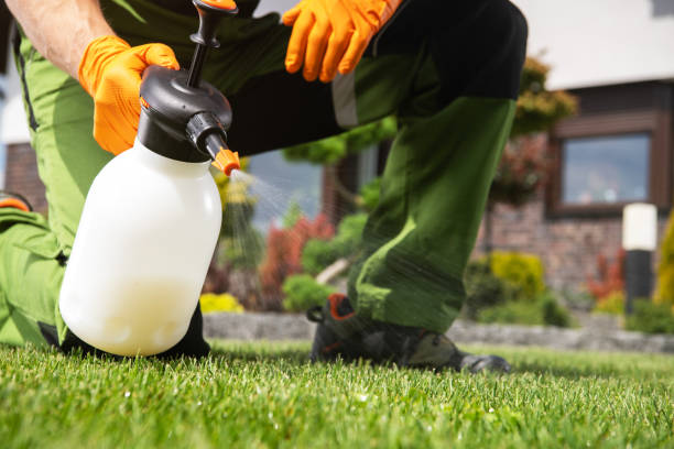 Best Local Pest Control Services  in Cashmere, WA