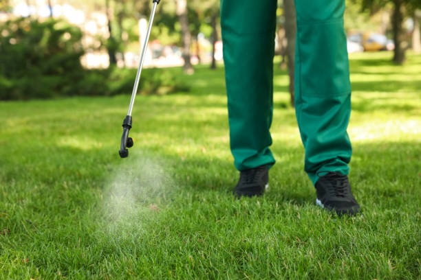 Best Mosquito Control Services  in Cashmere, WA