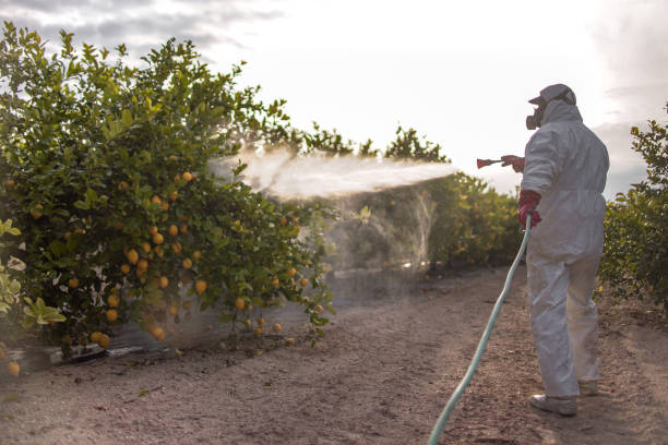 Pest Prevention Services in Cashmere, WA