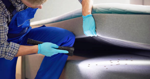 Best Rat Extermination Near Me  in Cashmere, WA