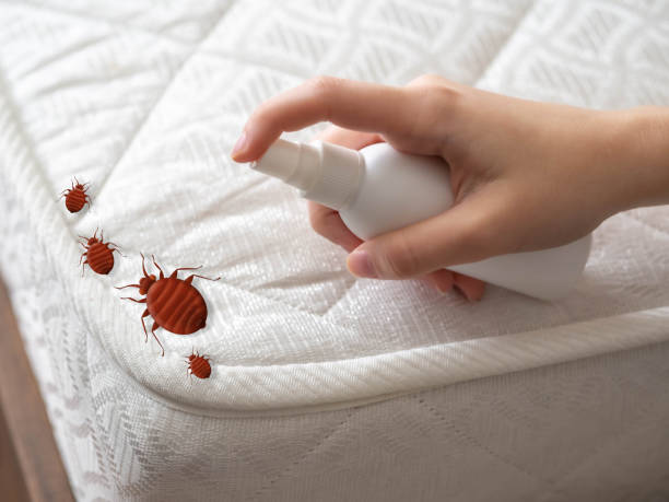 Best Exterminator Services  in Cashmere, WA