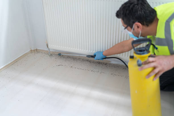 Flea Control Services in Cashmere, WA