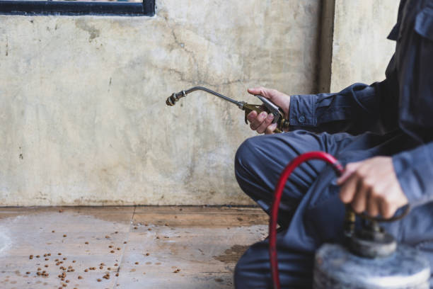 Pest Control for Restaurants in Cashmere, WA