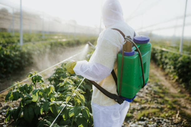 Bird Control in Cashmere, WA